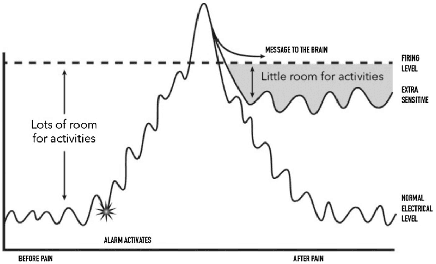 sensitive alarm chronic pain
