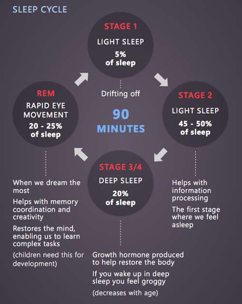 sleep_cycle_background_info Sleep