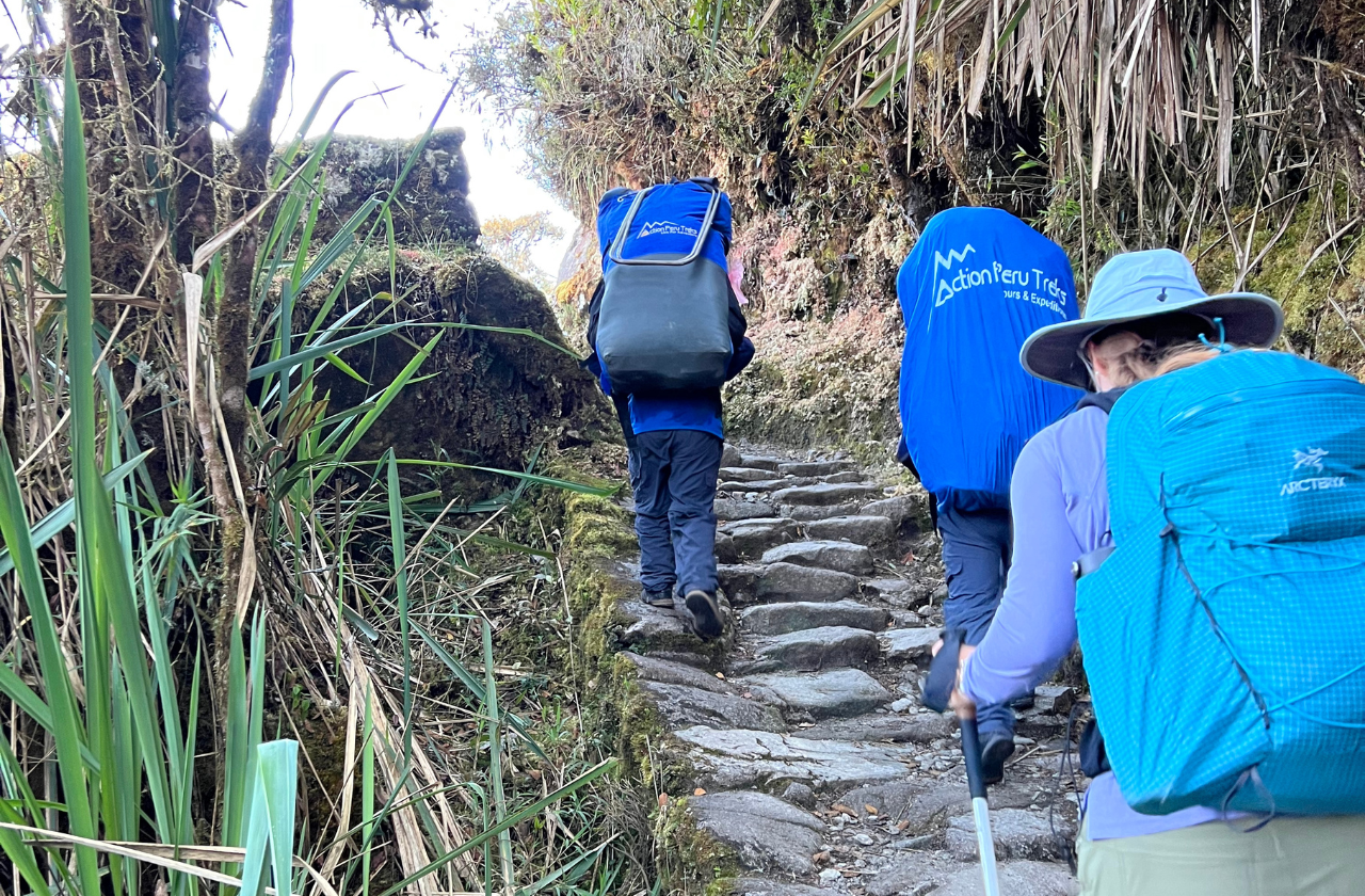 HORIZONTAL PHOTO (1280 × 840 px) - trekking (2) trekking