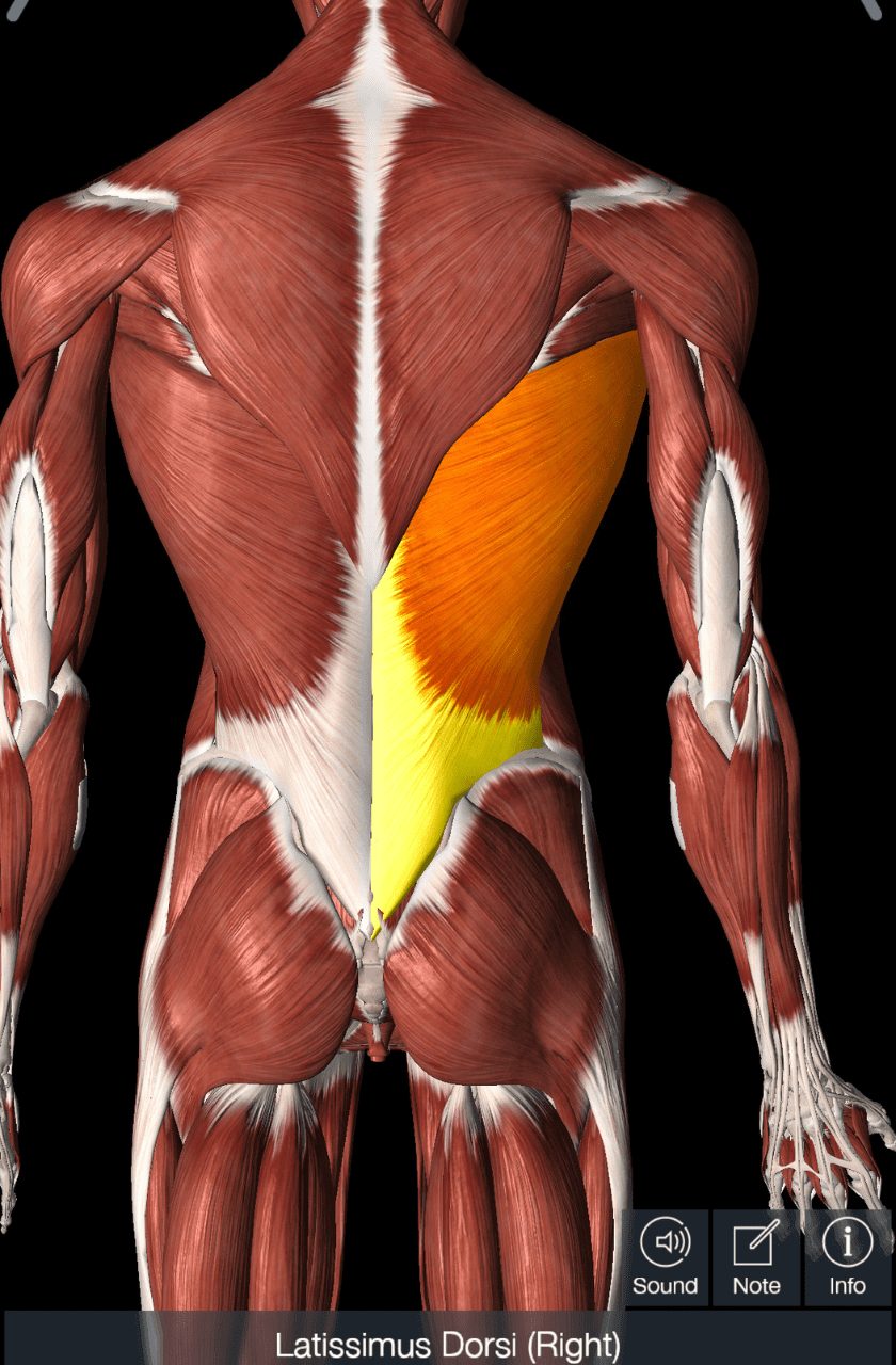 vertical 840 x 1280 lats 01.23 neck pain